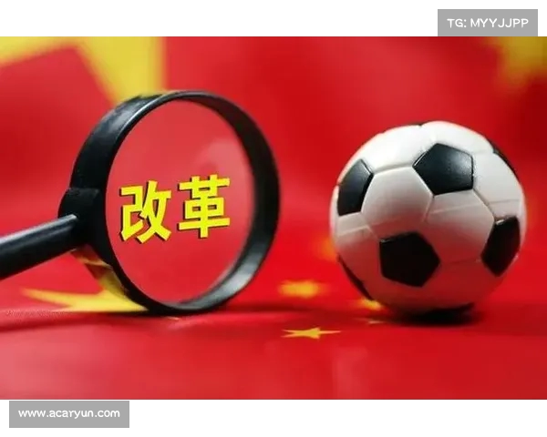 年中国足球背后的策略与思考 年中国足球背后的策略与思考